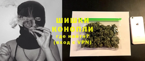 прущие грибы Вяземский
