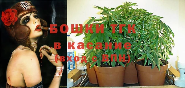 jwh Горняк