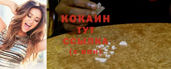 прущие грибы Вяземский