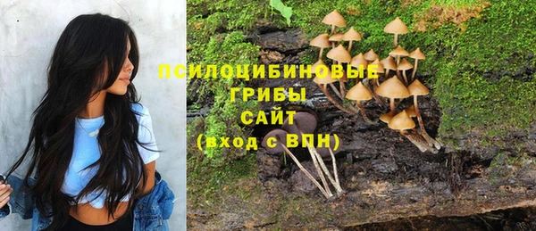 jwh Горняк
