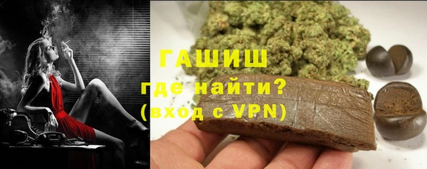 прущие грибы Вяземский
