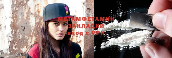 прущие грибы Вяземский