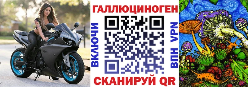 где продают   Зубцов  Галлюциногенные грибы мицелий 